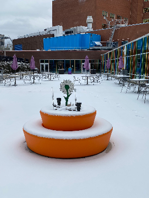 Children's Hospital of Pittsburgh patio in winter